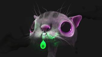 desktop nature animal cute