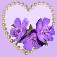 Flower Beautiful Bright