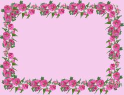Flower Flora Desktop