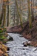 Nature Autumn Waters
