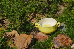 Nature Porridge Food