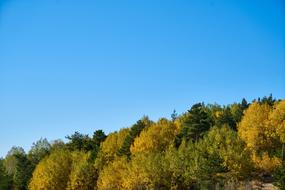 Autumn Season Landscape