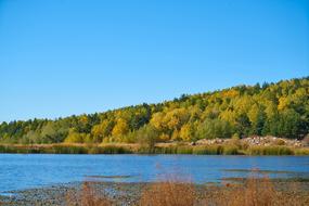 Autumn Season Landscape
