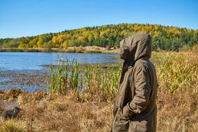 Autumn Season Landscape