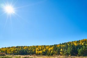 Autumn Season Landscape