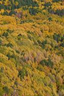 Autumn Season Landscape