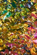 colored water is beautiful with bubbles