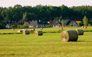Village Landscape View Grass