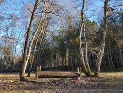 Forest Jump Cce Eventing