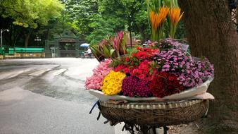 flowers in a large pot