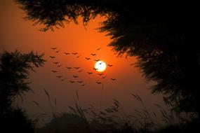 Sunset Sun Dusk