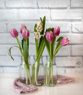 Tulip Vase Flower