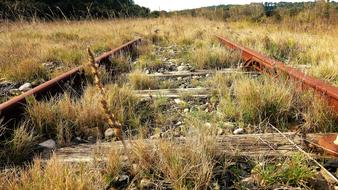 Nature Outdoor Landscape