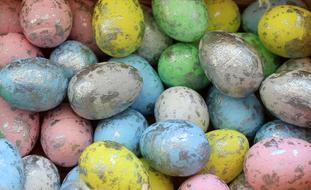 Eggs Decoration Eating