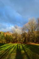 Sunrise Daylight Shadows