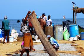 Beach Sand Indian Ocean A Fishing