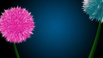 nature flower summer plant vivid