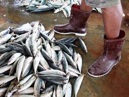 Rubber Boots Wet Legs