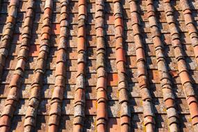 Roof Tile House