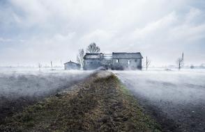 Nature Winter Outdoors