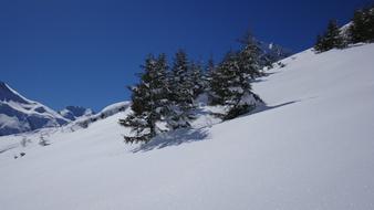 Snow Winter Cold
