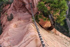 chain rock trees