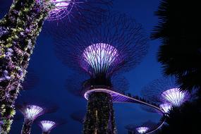 Singapore Supertree Grove art