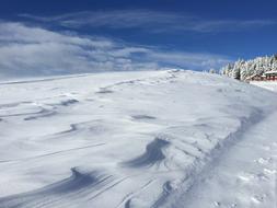 Winter Snow Panoramic