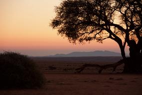 Namibia Sunset