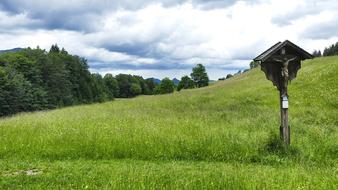 Grass Nature Landscape