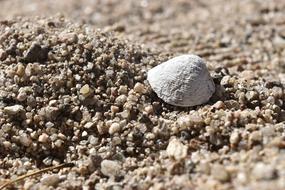 Sand Stone