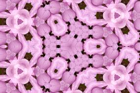 nature background flower color