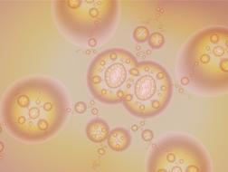 fractal lighting circles