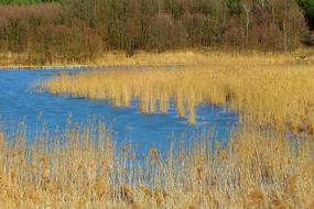Nature Landscape Lake