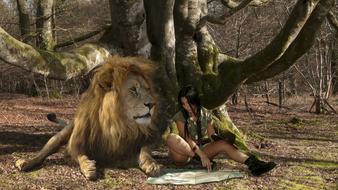 Nature Mammal Wildlife