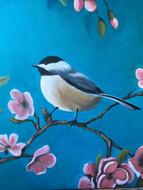 birds nature bird garden outdoor