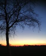 Landscape Dawn Nature