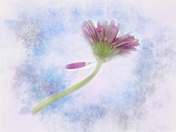 Nature Summer Flower