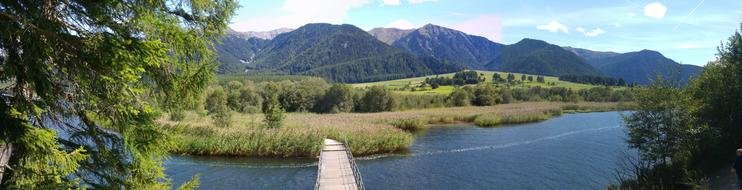 bridge with logs in the lake