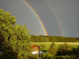 Rainbow Landscape Tree