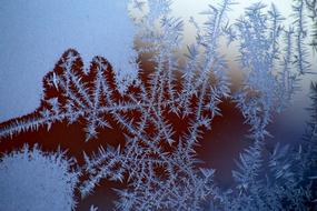 Winter Leann Snow