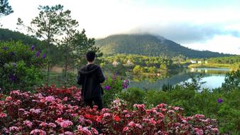 Nature Flower Outdoors