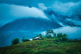 Landscape Vietnam Mountain