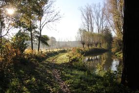 Autumn Brook Path