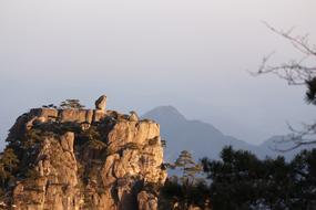 Huangshan Monkey View Of The Sea