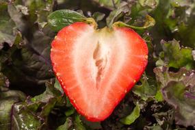 sliced sweet strawberries