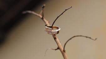 Alliance Marriage