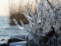 Ice Frozen Balaton