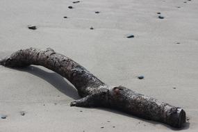 Log Sand