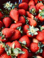 Sweet healthy strawberries